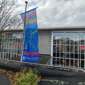 Flagge Terre des femmes